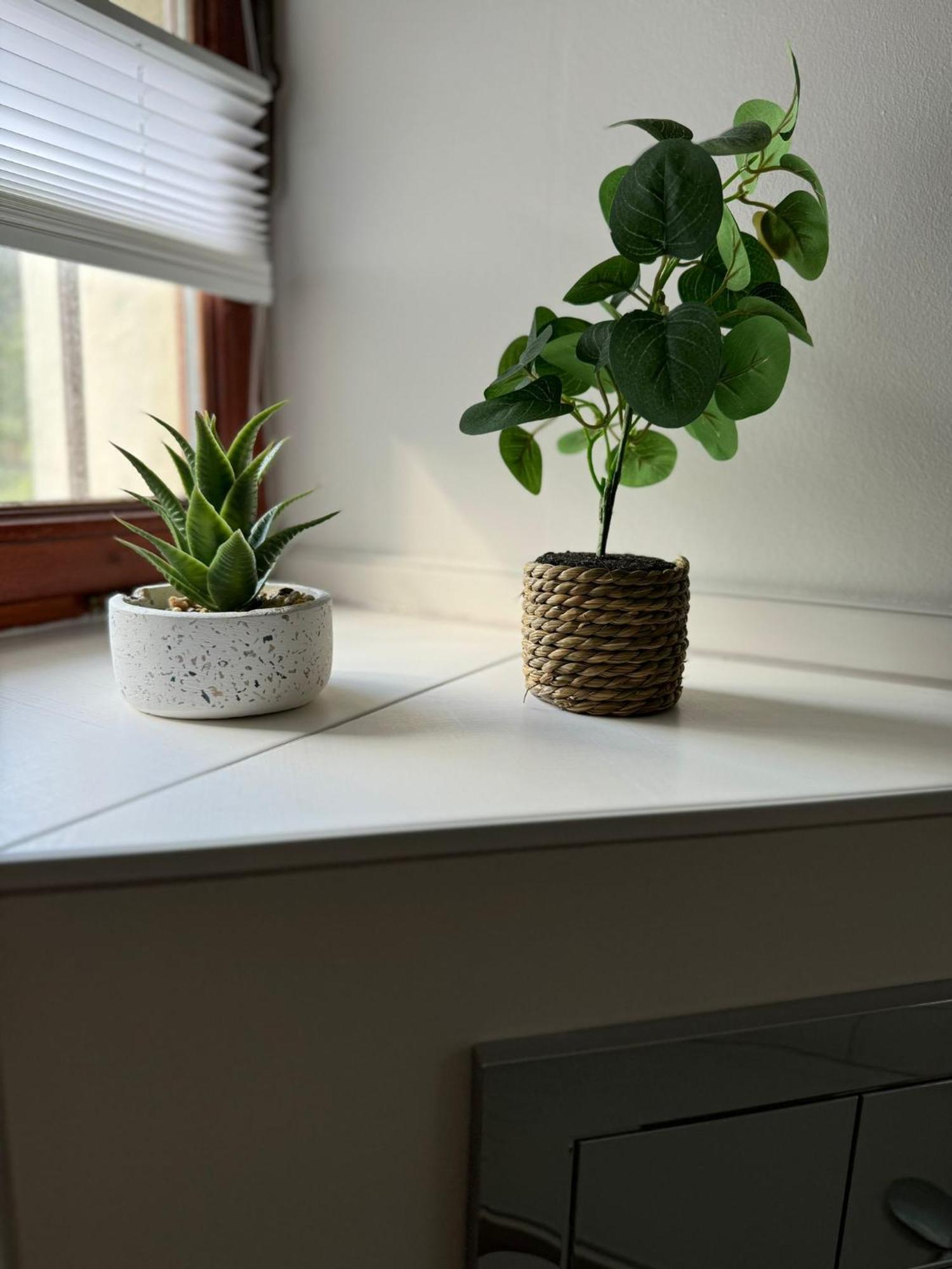 Ferienwohnung Neue Quickbox Тале Екстер'єр фото